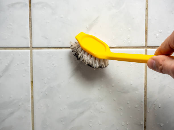 Professional Mold Remediation in Carlsbad, NM